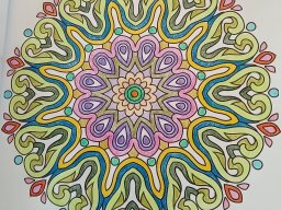 whatsapp bild 2023-07-13 um 18.33.20